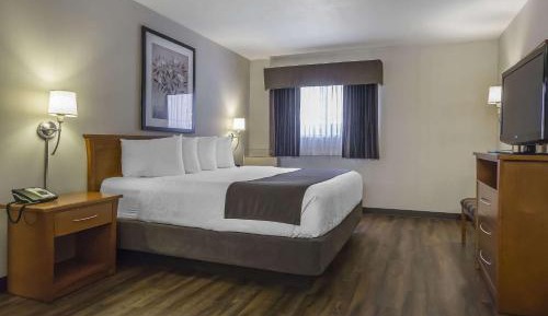 Standard Queen Room, 2nd Floor - Not Pet Friendly