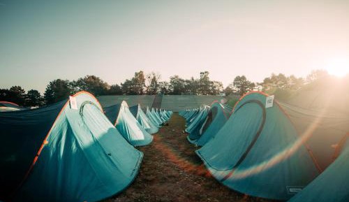 Bed in 4-Bed TENT