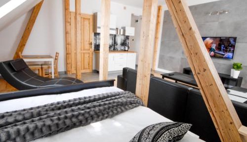 Studio Apartment