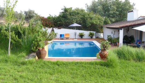 Studio with Garden View