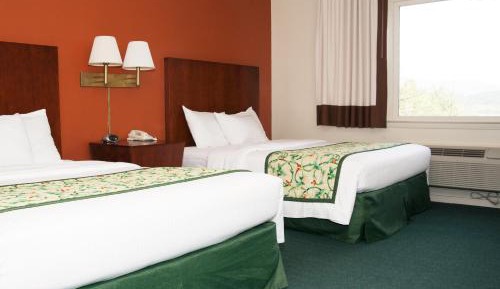 Scenic View Room 2 Queen Beds