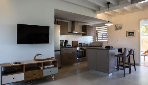 Duplex Apartment