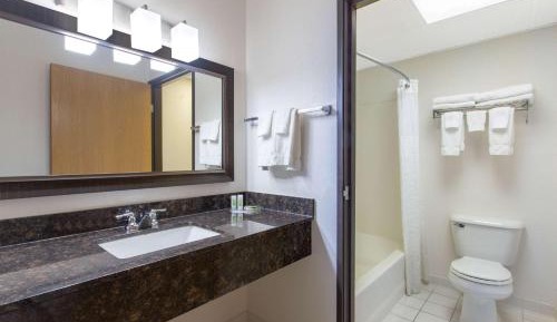 Superior One-Bedroom King Suite - Non-Smoking