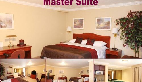 Superior Suite
