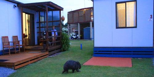 Two-Bedroom Bungalow
