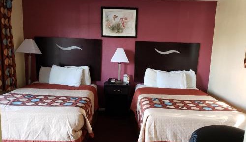 Budget Double Room
