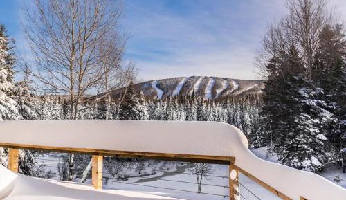 Superior Chalet