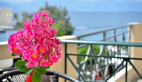 Studio with Sea View (2 Adults)