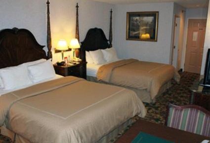 One-Bedroom Suite with Sofa Bed - Non-Smoking