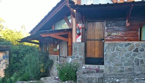 Studio with Garden View