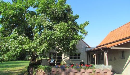 Six-Bedroom House