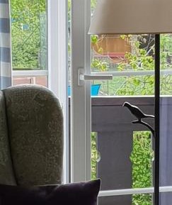 Deluxe Single Room with Balcony