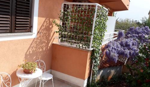 Apartment with Balcony