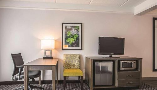 King Room with Roll-In Shower - Mobility/Hearing Accessible - Non-Smoking