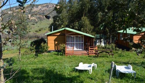 Bungalow (4 Adults)
