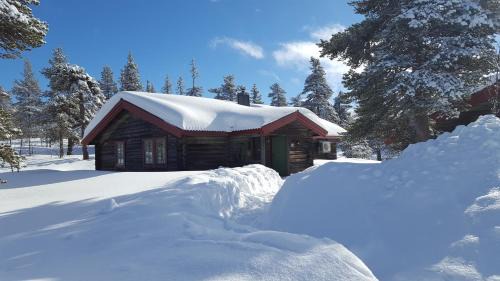 Superior Apartment with Sauna Orren & Tjädern