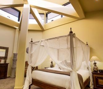 Shark Grand Suite