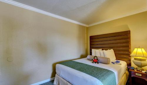 Standard Queen Room