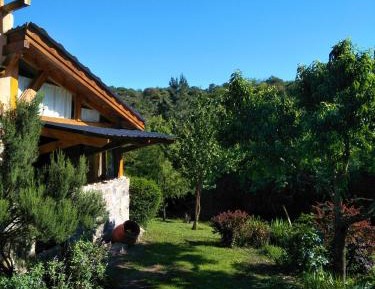 Studio with Garden View