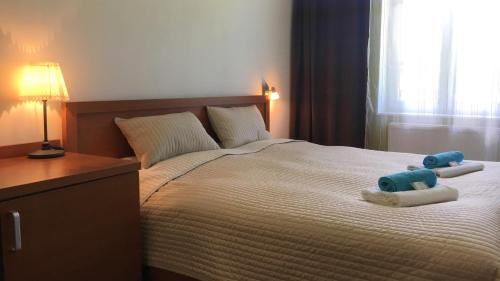 Double Room with Shared Bathroom
