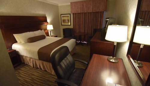 Queen Room