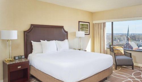 Allergy Friendly King Room