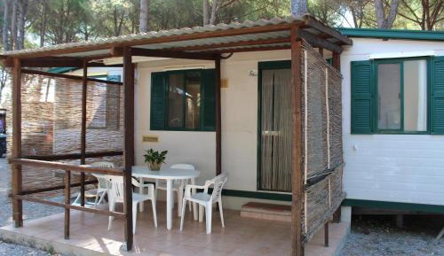 Mobile Home (4 Adults)