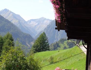 Double Room with Mountain View