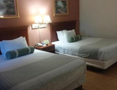 Double Room with Two Double Beds