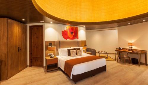Premier Room