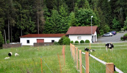Three-Bedroom House