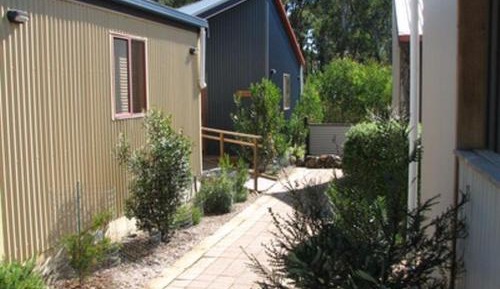 Narcissus Studio