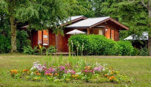 One-Bedroom Bungalow