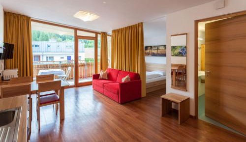 Big One-Bedroom Apartment