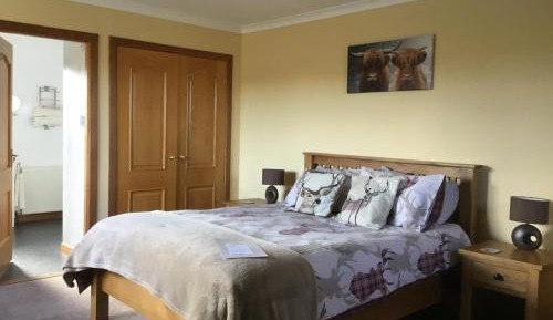 King Room with Garden View