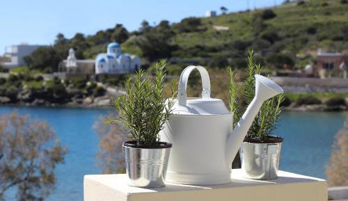Syra Bay 2.5