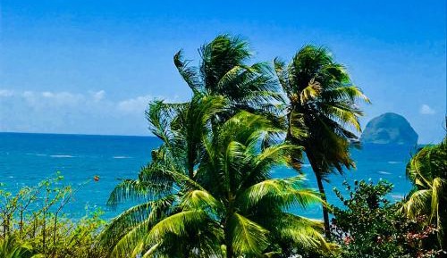 Studio Privilege with Sea View