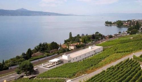 Twin or Double Room with Lake View