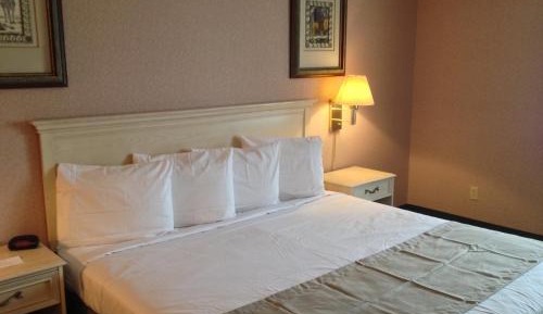 Standard King Room
