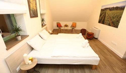 Double or Twin Room with Extra Bed