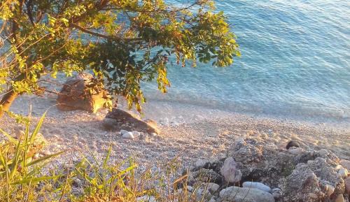 Studio Apartment with Sea View 2