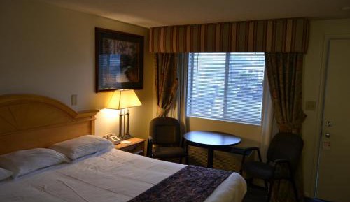 Standard King Room