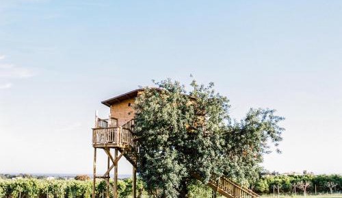 Tree House