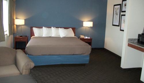 Premier King Suite - Non-Smoking