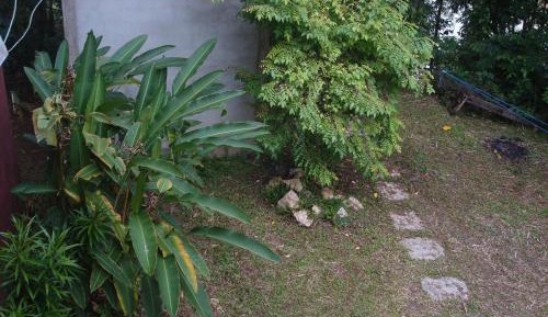 Single Room with Garden View