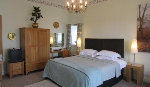 Deluxe King Room with Shower