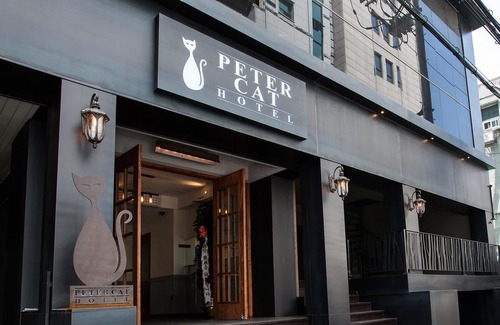 Daeheung-dong Hotel | Petercat Hotel Sinchon(Hongdae)