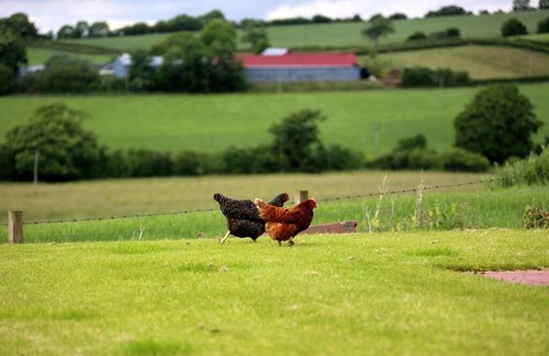 Mauchline Hotel | Crofthead Farm House