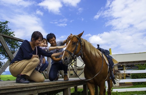 Aso Hotel | El Patio Ranch