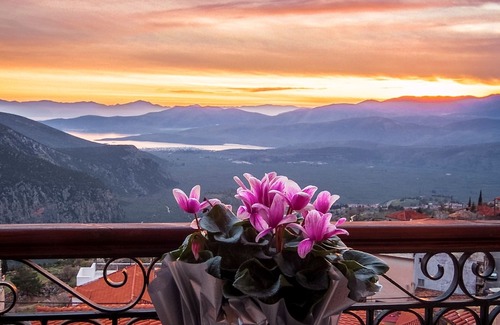 Delfoi Hotel | Fedriades Delphi Hotel